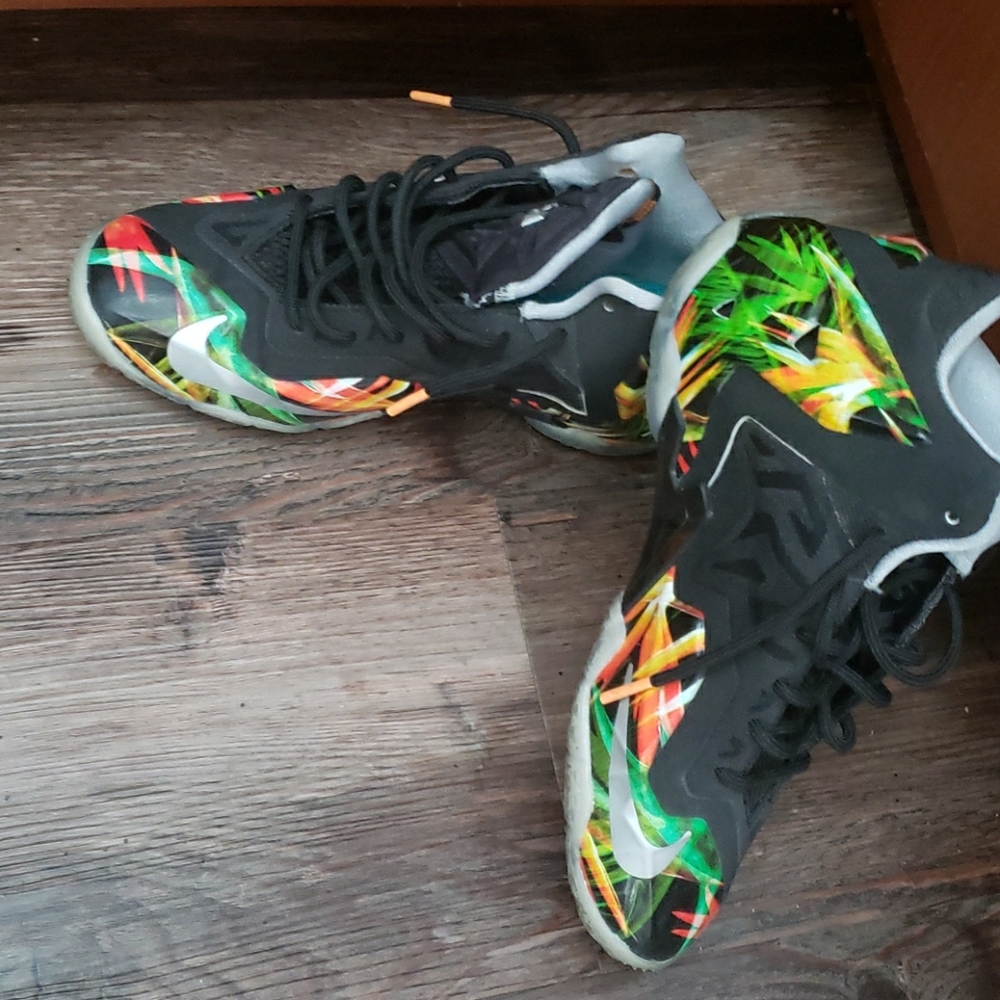 Lebron 11 everglades shoes